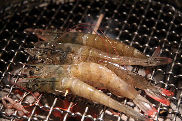 台北西區‧燒匠火烤吃到飽