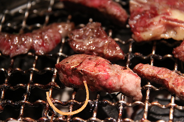 台北西區‧燒匠火烤吃到飽