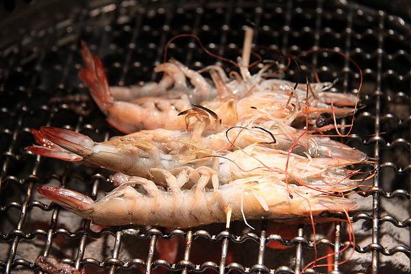 台北西區‧燒匠火烤吃到飽