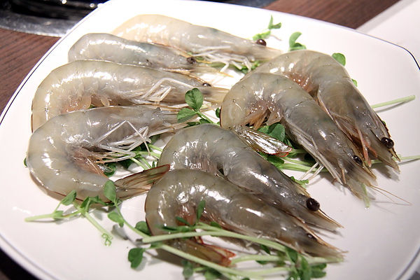 台北西區‧燒匠火烤吃到飽