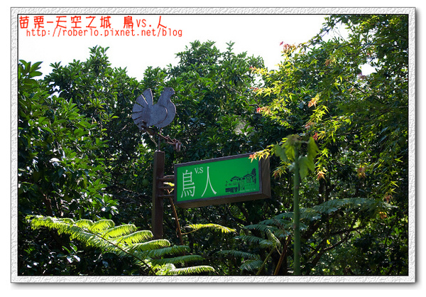 IMGP1123拷貝.jpg IMGP1123拷貝.jpg