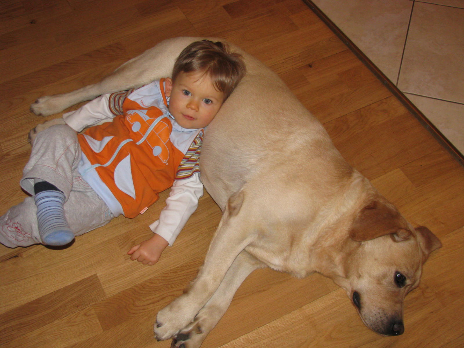 Kid&Dog