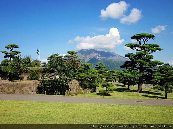 IMG_6553.jpg IMG_6553.jpg