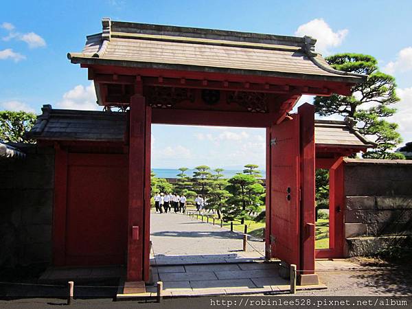 IMG_6555.jpg IMG_6555.jpg