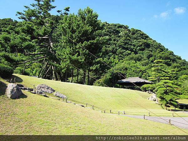 IMG_6559.jpg IMG_6559.jpg