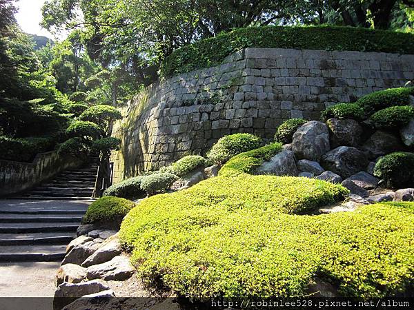 IMG_6562.jpg IMG_6562.jpg