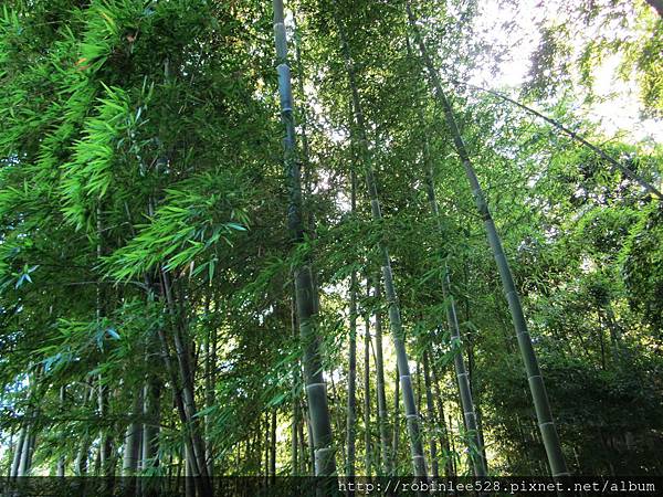 IMG_6566.jpg IMG_6566.jpg