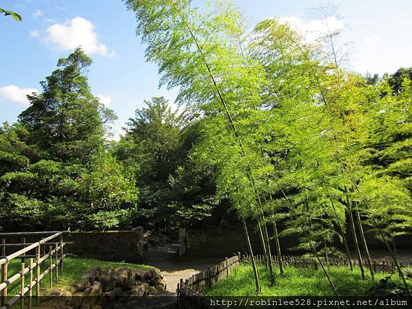 IMG_6567.jpg IMG_6567.jpg