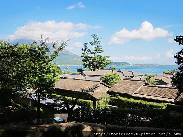 IMG_6572.jpg IMG_6572.jpg