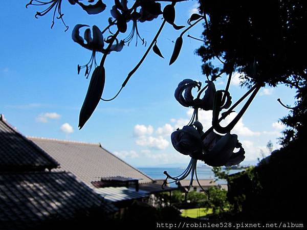 IMG_6576.jpg IMG_6576.jpg