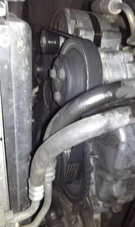 IMAG1291.jpg IMAG1291.jpg