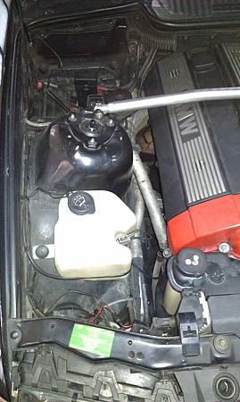 IMAG1295.jpg IMAG1295.jpg