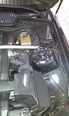 IMAG1296.jpg IMAG1296.jpg