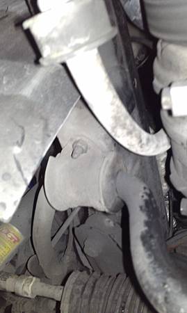 IMAG1305.jpg IMAG1305.jpg