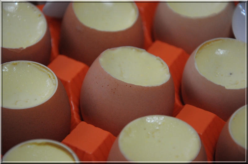 DSC_0448.JPG DSC_0448.JPG