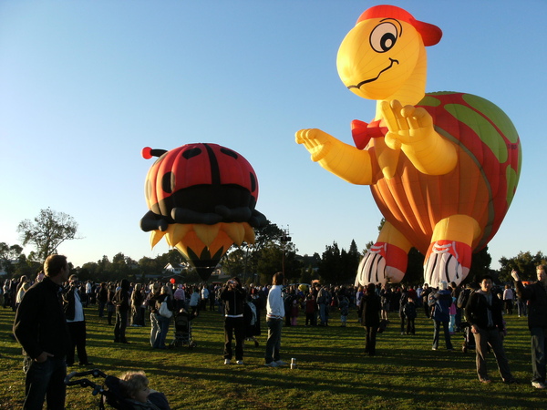 主角之二的烏龜與瓢蟲.JPG 主角之二的烏龜與瓢蟲.JPG