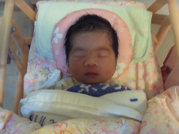 SDC13876.JPG SDC13876.JPG