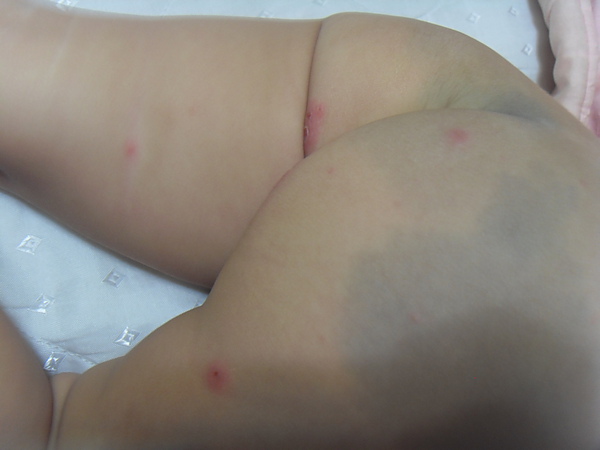 SDC17821.JPG SDC17821.JPG