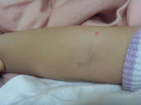 SDC17822.JPG SDC17822.JPG