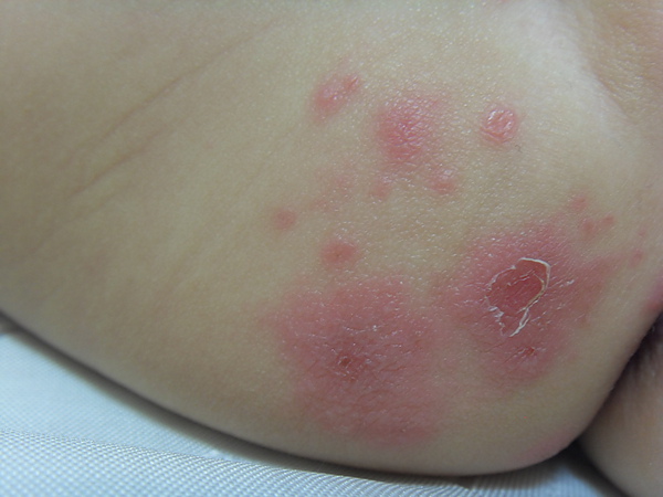 SDC17824.JPG SDC17824.JPG