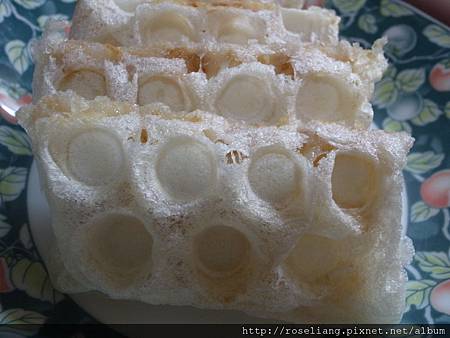 R1019763.JPG R1019763.JPG