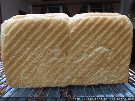 R1019765.JPG R1019765.JPG