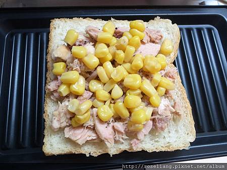 R1019766.JPG R1019766.JPG