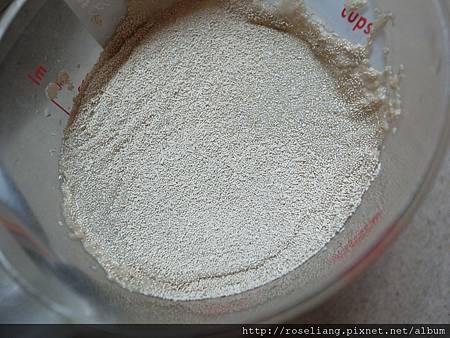 R1020016.JPG R1020016.JPG