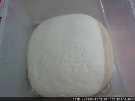 R1020022.JPG R1020022.JPG