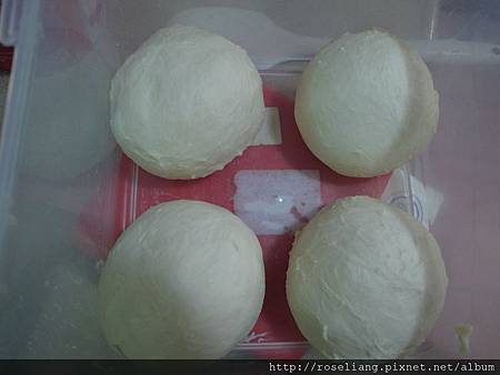 R1020028.JPG R1020028.JPG