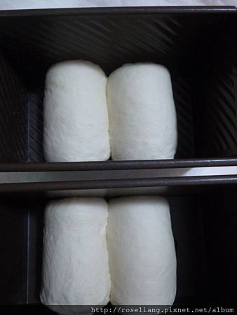 R1020030.JPG R1020030.JPG