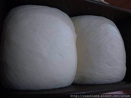 R1020031.JPG R1020031.JPG