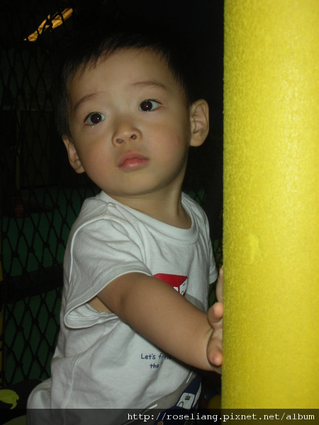 DSCN5646.JPG DSCN5646.JPG