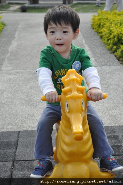 DSC_0826.JPG DSC_0826.JPG