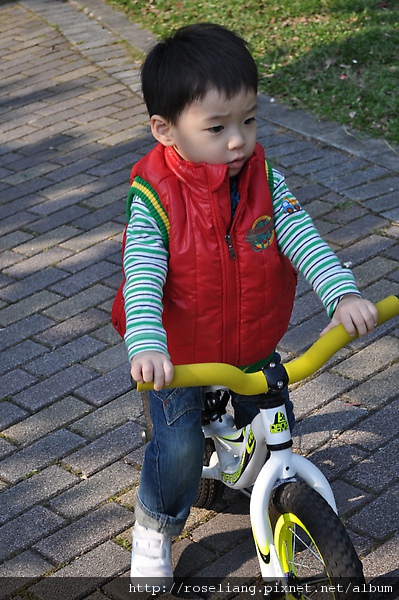 DSC_0631.JPG DSC_0631.JPG