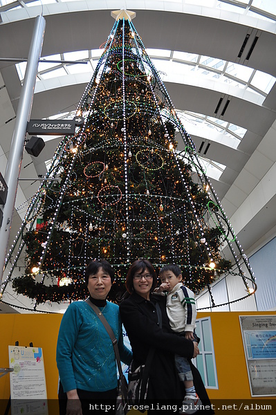 DSC_1876.JPG DSC_1876.JPG