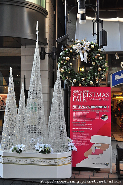DSC_1773.JPG DSC_1773.JPG