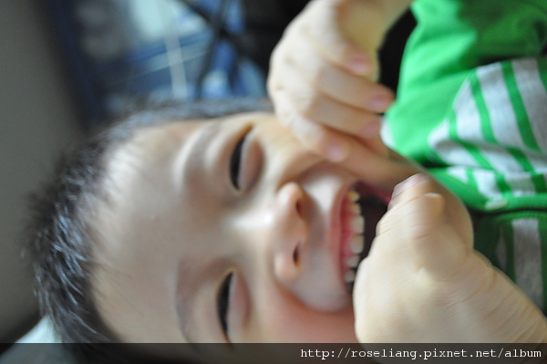 DSC_0308.JPG DSC_0308.JPG