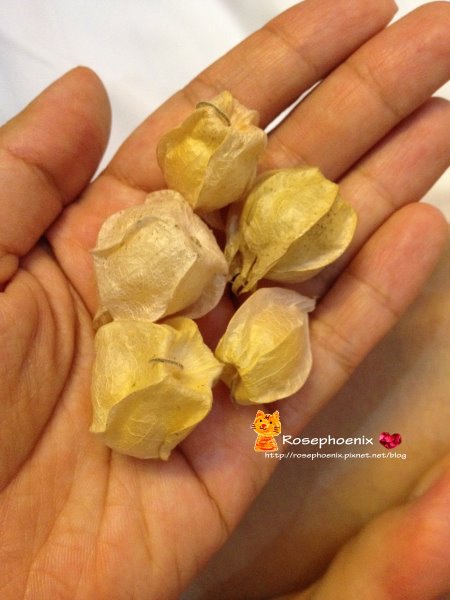 0705北京姑娘 (2).JPG