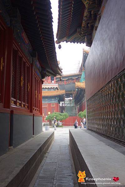 07050705雍和宮、孔廟、國子監 (9).JPG