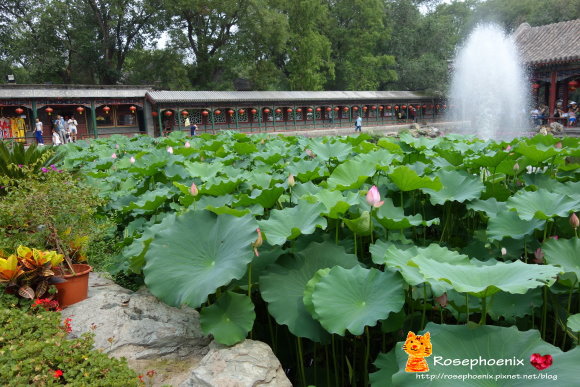 0705恭王府 (9).JPG