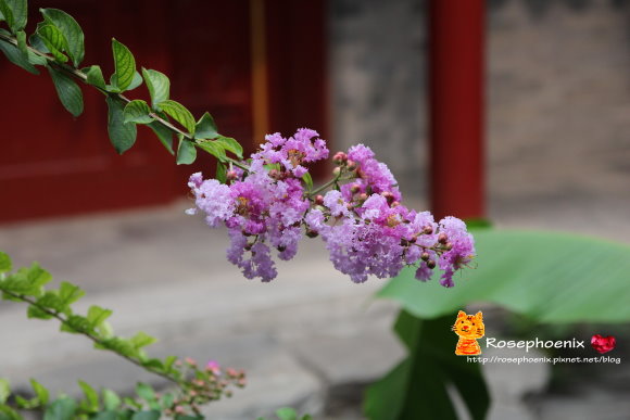 0705恭王府 (51).JPG