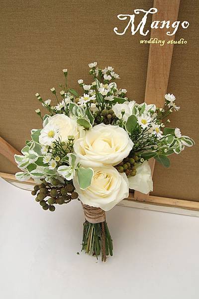 IMG_3974123 IMG_3974123