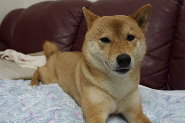 DPP_0008.JPG DPP_0008.JPG