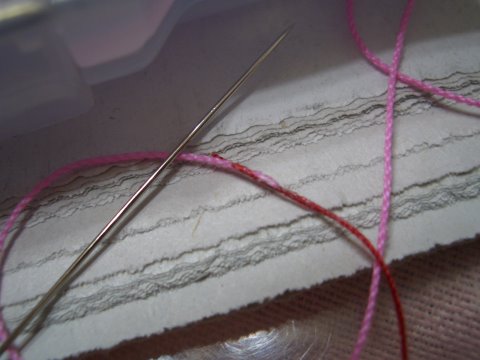 CIMG7168.JPG CIMG7168.JPG