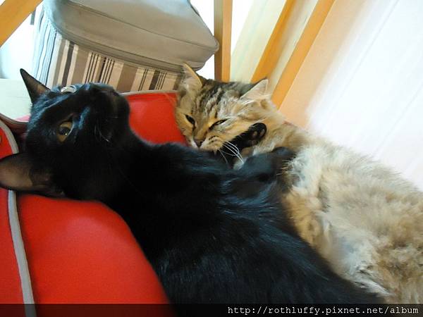 DSC01285.JPG DSC01285.JPG