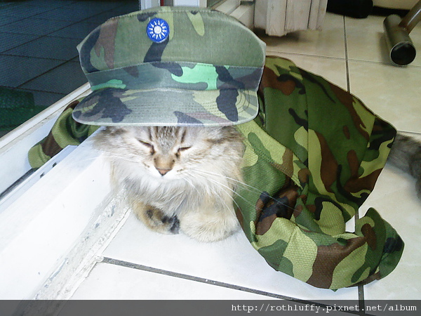 DSC00963.JPG DSC00963.JPG