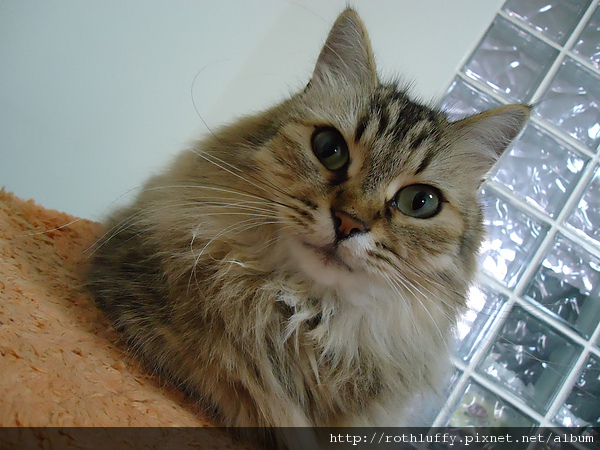 DSC00005.JPG DSC00005.JPG