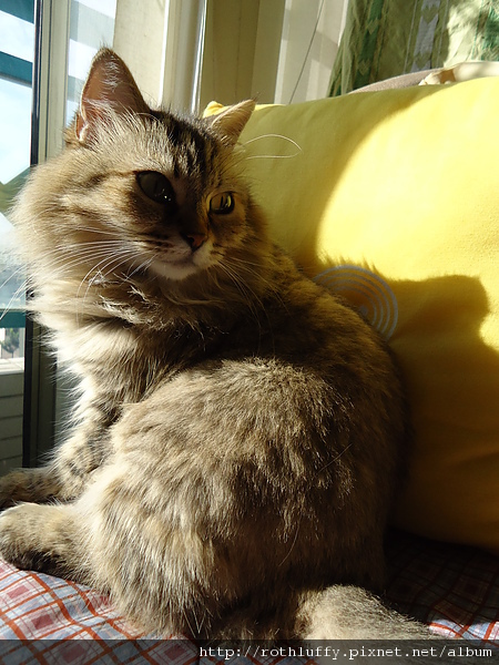 DSC00029.JPG DSC00029.JPG