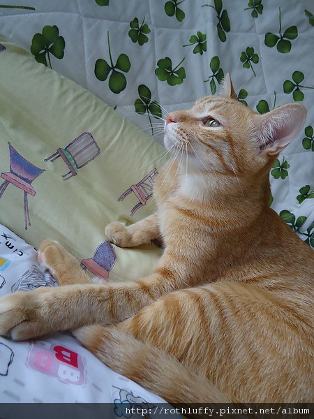 DSC00007.JPG DSC00007.JPG